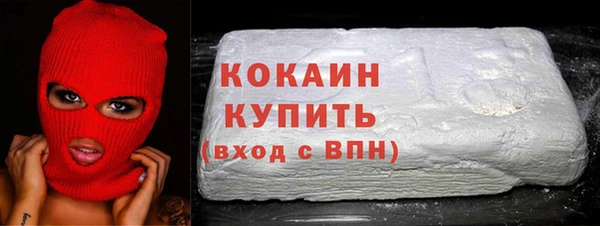 гидра Коряжма