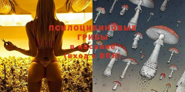 мяу мяу кристалл Кинешма