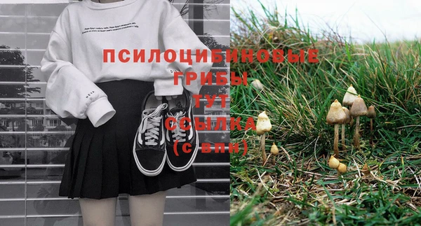 2c-b Киреевск