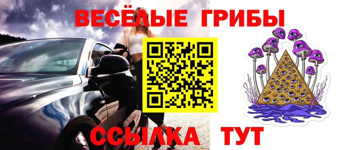 Псилоцибиновые грибы Cubensis Малгобек